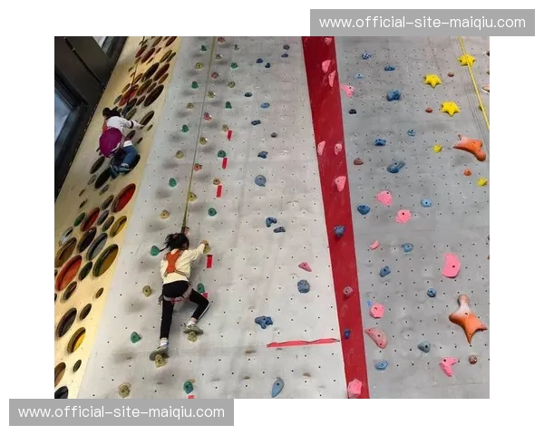 打造极致攀岩体验，尽享“排名攀岩入口”的无限魅力